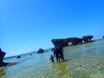 ダイビングショップ Sea Free（シーフリー）に投稿された画像（2019/9/24）