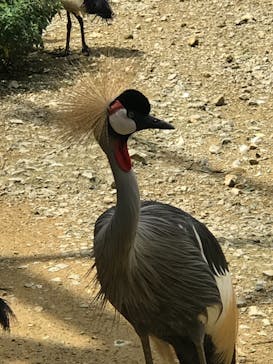 ネオパークオキナワに投稿された画像（2019/9/25）