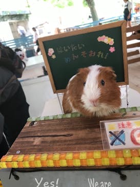 ネオパークオキナワに投稿された画像（2019/9/25）