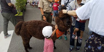 神戸どうぶつ王国に投稿された画像（2019/9/25）