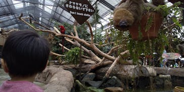 神戸どうぶつ王国に投稿された画像（2019/9/25）