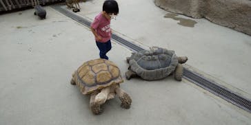 神戸どうぶつ王国に投稿された画像（2019/9/25）