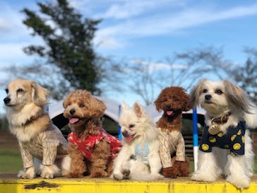 わんダフルネイチャーヴィレッジに投稿された画像（2019/9/25）