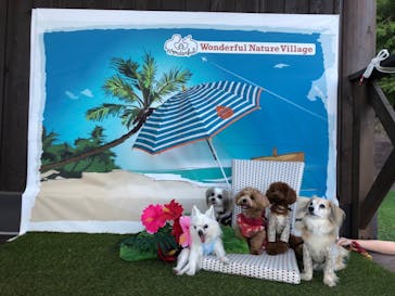 わんダフルネイチャーヴィレッジに投稿された画像（2019/9/25）