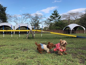 わんダフルネイチャーヴィレッジに投稿された画像（2019/9/25）