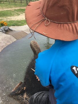 岩手サファリパークに投稿された画像（2019/9/27）