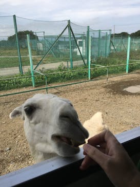 岩手サファリパークに投稿された画像（2019/9/27）