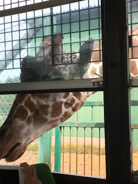 岩手サファリパークに投稿された画像（2019/9/27）