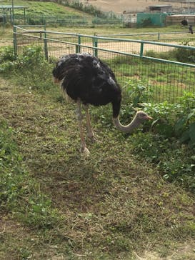 岩手サファリパークに投稿された画像（2019/9/27）