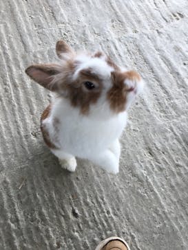 岩手サファリパークに投稿された画像（2019/9/27）