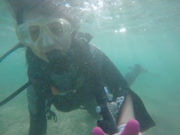 武藤潜水に投稿された画像（2019/9/27）