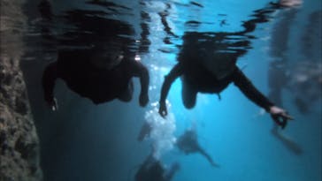 武藤潜水に投稿された画像（2019/9/28）