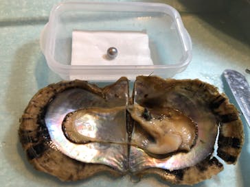 しながわ水族館に投稿された画像（2019/9/28）