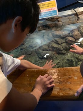 しながわ水族館に投稿された画像（2019/9/29）