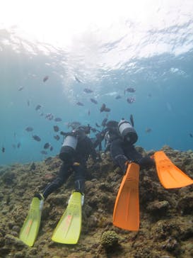 ドロップイン 沖縄に投稿された画像（2019/9/29）