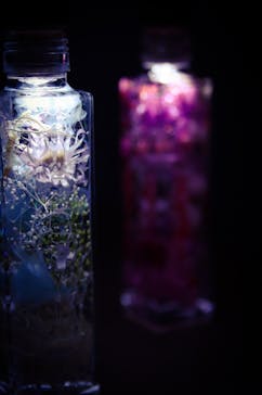 ずこうしつ〜sugamo〜に投稿された画像（2019/9/29）