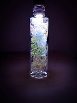 ずこうしつ〜sugamo〜に投稿された画像（2019/9/29）