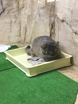 那須どうぶつ王国に投稿された画像（2019/9/29）