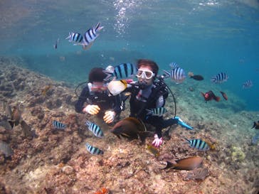 ドロップイン 沖縄に投稿された画像（2019/9/29）