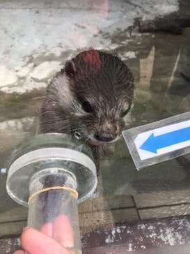 しろとり動物園に投稿された画像（2019/9/30）