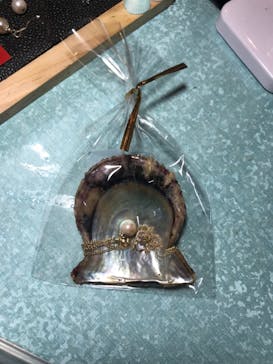 しながわ水族館に投稿された画像（2019/9/29）