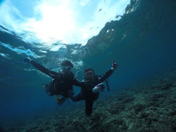 武藤潜水に投稿された画像（2019/9/30）