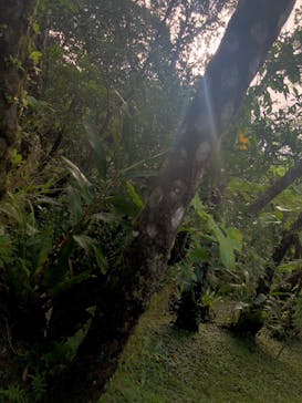 ビオスの丘に投稿された画像（2019/9/30）