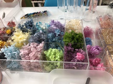 ずこうしつ〜sugamo〜に投稿された画像（2019/9/30）