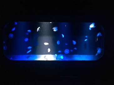 京都水族館に投稿された画像（2019/9/30）