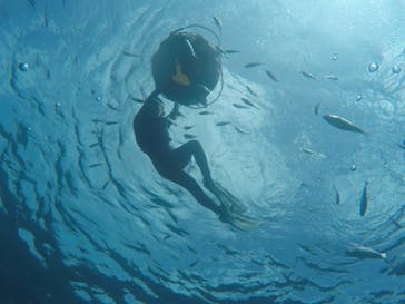 武藤潜水に投稿された画像（2019/10/1）