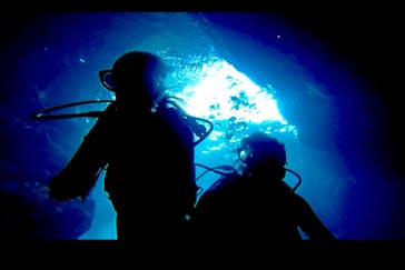 武藤潜水に投稿された画像（2019/10/3）