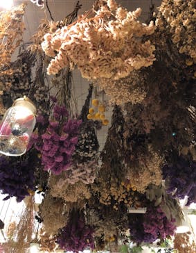 RAiNBOW SOUL（レインボーソウル）に投稿された画像（2019/10/3）