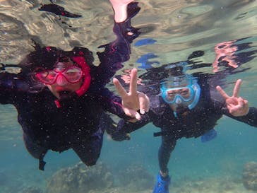 ダイビングショップ Sea Free（シーフリー）に投稿された画像（2019/10/4）