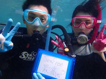 ダイビングショップ Sea Free（シーフリー）に投稿された画像（2019/10/4）