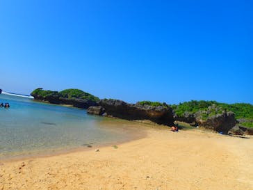 ダイビングショップ Sea Free（シーフリー）に投稿された画像（2019/10/4）