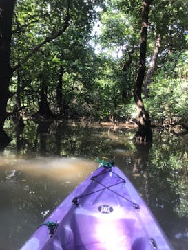 CHOROに投稿された画像（2019/10/4）