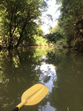 CHOROに投稿された画像（2019/10/4）