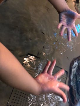 しながわ水族館に投稿された画像（2019/10/5）