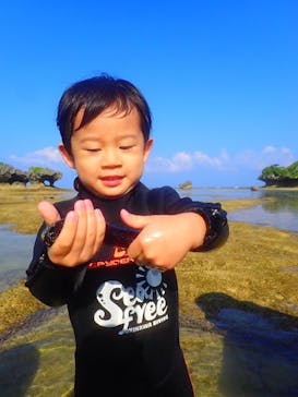 ダイビングショップ Sea Free（シーフリー）に投稿された画像（2019/10/6）