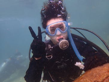 ダイビングショップ Sea Free（シーフリー）に投稿された画像（2019/10/6）