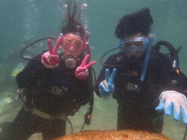 ダイビングショップ Sea Free（シーフリー）に投稿された画像（2019/10/6）