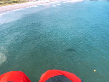 松島熱気球・パラグライダー体験に投稿された画像（2019/10/6）