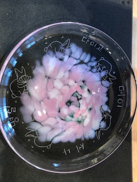 ちいさな硝子の本の博物館に投稿された画像（2019/10/6）