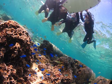 ドロップイン 沖縄に投稿された画像（2019/10/6）