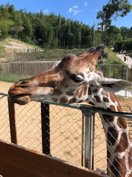 しろとり動物園に投稿された画像（2019/10/6）