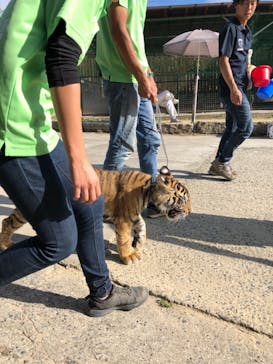 しろとり動物園に投稿された画像（2019/10/6）