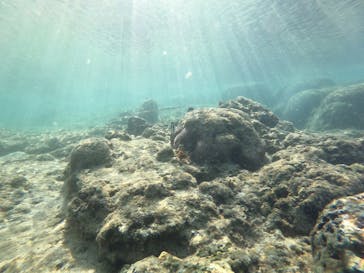 武藤潜水に投稿された画像（2019/10/7）