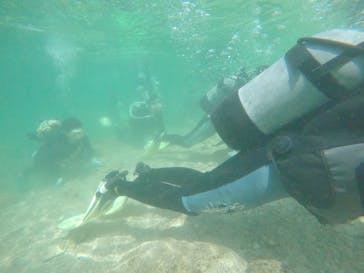 武藤潜水に投稿された画像（2019/10/7）