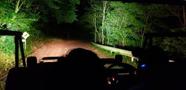 奄美ナイトツアーサービスに投稿された画像（2019/10/7）