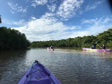 CHOROに投稿された画像（2019/10/7）